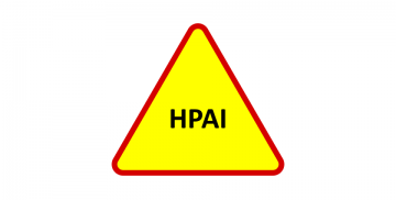 Znak ostrzegający o HPAI