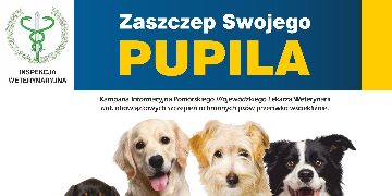 Plakat promujący kampanię dotyczącą obowiązkowych szczepień ochronnych psów